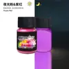 Polvo Luminoso Fluorescente de Alto Brillo de Larga Duración de 12 Colores Transfronterizo Polvo Fluorescente Pigmento Luminoso Aceitoso para Manualidades con Resina Epoxi DIY 20g