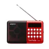 Radio Huayu 853 Multifuncional con Ranura para Tarjeta Transmisión FM Máquina de Cantar para Personas Mayores Reproductor Portátil Mini Altavoz