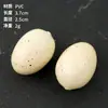 Ingredientes para Hot Pot de Simulação Modelo de Hot Pot Ornamentos Material Raiz de Lótus Cogumelo Alga Edamame Restaurante Rústico Macarrão