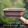 Maceta Rectangular Pequeña de Resina para Uso Doméstico, Cerámica de Imitación Arena Púrpura, Adecuada para Plantas Verdes, Bonsái de Árbol de Banyan, Venta al por Mayor