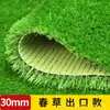 Serie CéspedAlfombra Plástica Artificial Especializada para Gimnasios, Usada para Decorar Parques Infantiles, Estudios y Pistas de Entrenamiento Interiores/Exteriores
