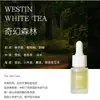 Aceite Esencial de Aromaterapia No Inflamable Máquina de Aromaterapia para Habitación de Hotel Líquido de Recarga Aromaterapia Fragancia Duradera Piedra Difusora Líquido de Aromaterapia para Uso Doméstico en Interiores
