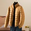 Chaqueta de Algodón Rellena de Plumas Marca de Moda para Mujer Ligera Corta 2023 Cuello Otoño e Invierno Nueva Ajustada Ligera Cálida Chaqueta Blanca de Felpa