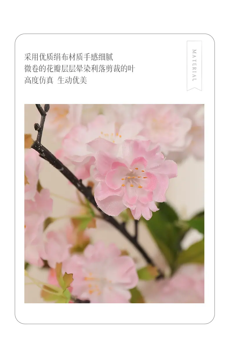 单枝小号好韵樱花-少花_02.jpg
