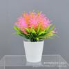 Flor falsa decoração por atacado Orquídea pérola em vaso de planta planta verde sala de estar decoração de casa plástico flor artificial adereços ornamentos