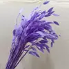 Pensamientos Pequeños Blanqueados, Flores Eternas, Flores Secas, Materiales de Flores para Manualidades, Flores Preservadas, Ramos, Flores Reales, Decoración del Hogar, Flores Hechas a Mano