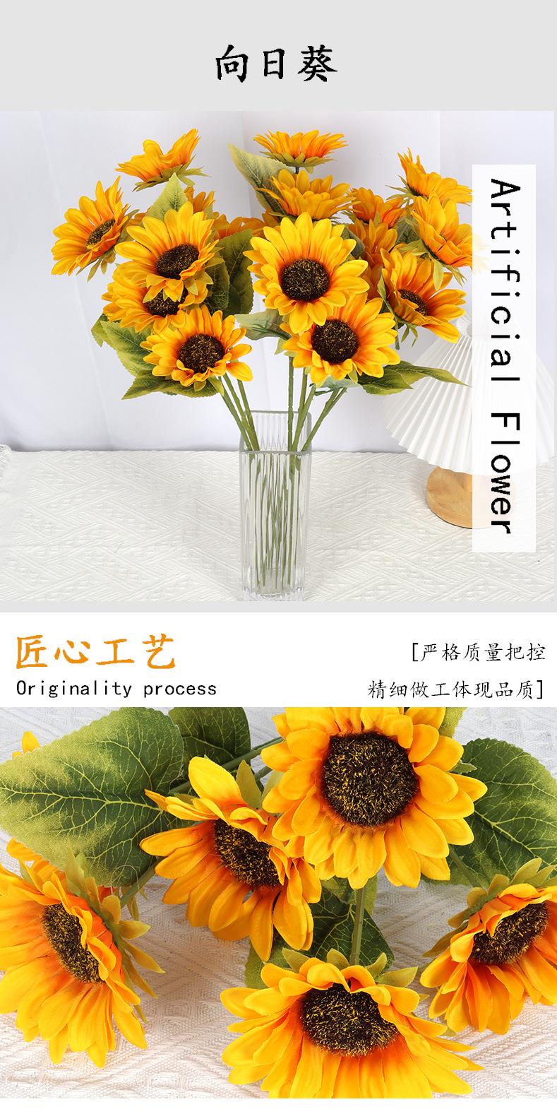 3头长支向日葵_03.jpg