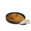 Pó de Extrato de Ninho de Andorinha 10:1 Matéria-Prima de Grau Alimentício, Pó Solúvel em Água, Extrato Vegetal da Mesma Fonte que Alimento e Medicamento