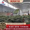 Secador de Ervas Medicinais Chinesas Grama de Avião Xiangze Lan Grama da República da China Secador Automático Cinta de Malha Secador de Ar para Ervas