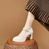 Sapatos de salto grosso de tira única salto alto 2026 Outono Novo Estilo Confortável Impermeável Plataforma Solado Grosso Aumento de Altura Trabalho Sapatos de Couro Feminino