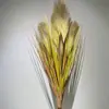 Simulação Junco Cebola Grama Maço Adereços Decoração Arranjo Nórdico Indoor Flor de Simulação Simulação Junco Rabo de Raposa Grama