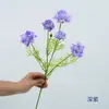 5 Cabeças de Centáurea Ramo Único Flor Artificial Crisântemo Selvagem Estilo Ins Pastoral Fresco Floral Casamento Paisagismo Decoração de Casa Flor