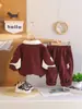 Conjunto de Primavera y Otoño para Niños: Conjunto de Dos Piezas de Camisa Polo de Manga Larga de Algodón, Pantalones Casuales con Estilo para Niños, Ropa de Moda Trendy para Niños