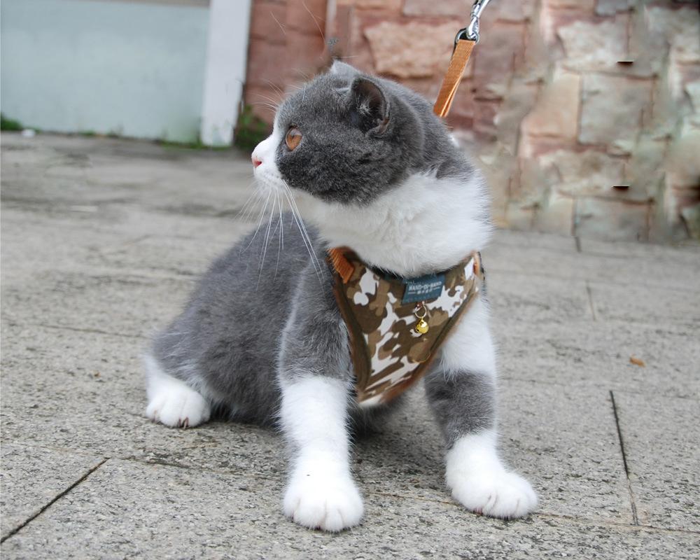 cat vest harness cam brown.jpg