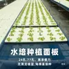 Equipamentos para Cultivo Sem Solo, Painéis de Aquaponia, Canteiros Hidropônicos para Hortaliças, Canteiros Aquáticos para Tanques de Peixes, Placas Flutuantes para Plantio