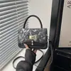 Bolso cuadrado pequeño de lujo ligero estilo coreano transfronterizo para mujer, nuevo bolso de hombro de mariposa invierno 2025, bolso cruzado de alta gama