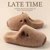 Venta de liquidación: Pantuflas de Algodón de Capibara para Mujer para Otoño e Invierno, Uso en Interiores del Hogar, Forradas de Felpa, Cálidas y Antideslizantes