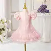 Vestido Formal Infantil Vestido de Princesa Vestido de Cumpleaños Vestido Formal de Nicho para Presentación de Anfitrión Vestido de Línea A Francés con Manga Abullonada