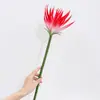 Árbol de la Vida Artificial con Flor de Corona Grande de Goma Suave de PVC Ave del Paraíso Decoración de Arreglo Floral de Mesa para Sala de Estar de Hotel Producto Nuevo Transfronterizo