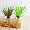 Cabeça de Flor Suculenta Coleira Grama de Ensino Criativo Acessórios DIY Arranjo de Flores Planta Decorativa Atacado Móveis para Casa Dropshipping