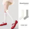 Meias Finas Estilo Japonês JK Primavera/Verão Renaissance Compressivas Emagrecedoras de Comprimento Médio para Mulheres Brancas Puras com Proteção Solar para Panturrilha