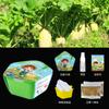 1 Plantación Infantil en Maceta Juguetes Educativos Experimentos Científicos Brotes Plántulas Cultivo sin Suelo Verduras Hidroponía Al por Mayor