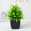 Amazon planta verde artificial para exteriores pequeña en maceta escritorio bonsái decoraciones para el hogar y la oficina accesorios para fotos plantas