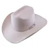 Sombrero de Caballero de Fieltro para Hombre Best-Seller Transfronterizo de Amazon Otoño e Invierno Hebilla de Cabeza de Toro Jorobada Lana Artificial Sombrero de Vaquero Occidental