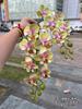 Nueva impresión 3D Phalaenopsis fabricantes de comercio exterior 2 tenedor sienten Phalaenopsis verde boda hogar flores falsas al por mayor