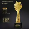 Troféu de Cristal em Resina Feito Sob Medida para Competições de Dança, Prêmios Infantis, Funcionários Destaques, Equipes de Empresa, Competições de Canto e Dança