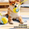 Bola de brinquedo automática para cães, resistente a mordidas, auto-entretenimento, alivia o tédio, brinquedo elétrico inteligente para cães, bola de pular para filhotes
