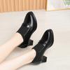 Elegantes Zapatos de Tacón Alto, Versátiles Zapatos Nuevos para Mujer Primavera y Otoño 2025, Zapatos Negros de Cuero con Tacón Grueso, Combinan con Faldas, Venta al por Mayor de Zapatos Individuales