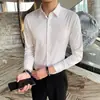 Atacado de Fábrica Camisa Masculina Nova Cor Sólida Business Manga Longa Slim Fit Caimento Suave Camada Base Camisa Branca Atacado