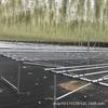 Piña de Aire Planta sin Tierra para Personas Mayores, Hierba de Aire Piña Planta Verde Creativa de Cuatro Estaciones Perenne Colgante de Interior