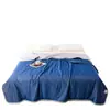 Marca Alternativa Acessível Quilt Pro Refrescante de Verão Planeta Sono Profundo, Colcha Lavável com Regulação de Temperatura, Núcleo de Colcha de Seda Refrescante de Verão Duplo para Ar Condicionado