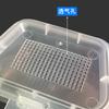 Caja de gusanos rojos transparente de plástico caja para cebo vivo caja para cebo de pescado caja para lombrices de tierra con orificio transpirable equipo de pesca suministros de pesca mayoreo