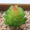 Atacado Mini Planta Suculenta Cabeça de Flor Artificial Pequenos Acessórios para Arranjo de Flores Suculenta Falsa Flor de Plástico Planta Decorativa Vaso de Planta