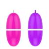 USB fuerte choque conversión de frecuencia silencioso impermeable conversión de frecuencia huevo saltarín femenino punto G orgasmo lamedor carga pulga juguetes sexuales