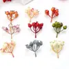 Decoraciones Populares para Bodas, Granadas, Bayas Navideñas, Flores Artificiales al por Mayor, Bayas Silvestres Artificiales, Frutas Artificiales de Espuma
