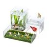 Bainabangshou Tanque de Peces con Planta Verde de Escritorio Caja Transparente de Plástico Mini Tanque de Peces de Oficina