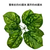 Paredes de Plantas Simuladas, Céspedes Artificiales, Decoraciones de Paredes Verdes con Plantas, Paredes de Fondo, Flores Artificiales, Césped Verde de Plástico Artificial al por Mayor