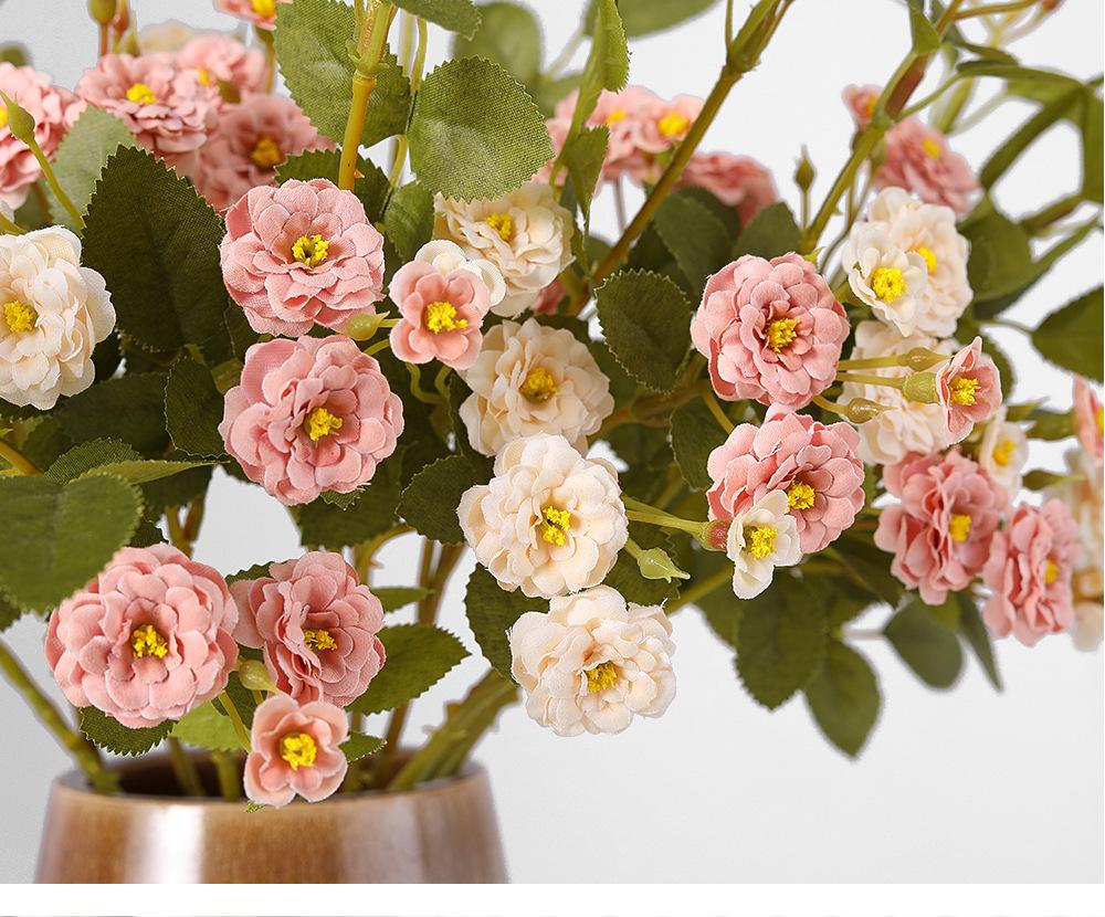 迷你小月季详情图