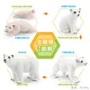 Juguete modelo de animal pequeño simulación ciclo de vida crecimiento rana tortuga pollo Montessori material didáctico preescolar venta al por mayor