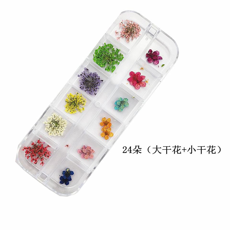 大干花+小干花24朵