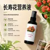 Solución nutritiva especial para Kalanchoe sin diluir fertilizante inductor de floración fertilizante especial para plantas en maceta fertilizante para floración spray foliar