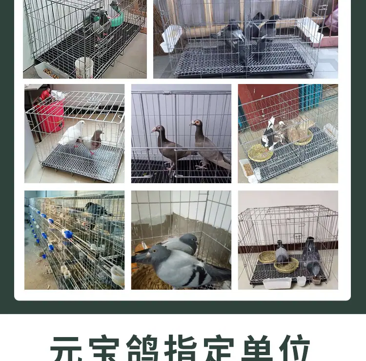 鸽子笼详情页_04
