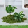 Plantas Verdes Artificiales al por Mayor Paisajismo Interior Plantas Falsas de Gama Alta Decoración de Paisaje Grupos de Musgo Flores Biónicas Decoración Suave Luz