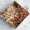 25~95P Caja Flores Secas Cielo Completo Flores Preservadas DIY Venta Caliente Transfronteriza Fabricante de Yunnan Envío Directo Fuente de Amazon