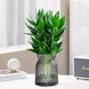 Bambú Guanyin, Bambú de la Fortuna, Plantas Hidropónicas con Raíces, Flores, Plantas Verdes, Potos Plantas de Interior en Maceta, Bambú de Trasplante, Fácil de Cultivar en Agua