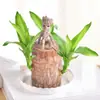 Palo de Brasil Modelo de Pareja Madera de la Suerte Hidropónica Planta Verde de Interior Groot en Maceta Hidropónica Fácil de Cultivar Planta Pequeña de Escritorio